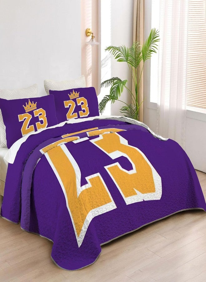 Allenjoy Twin Size Purple Warriors Quilt Bedspreads Basketball Legends Bed Set Bedding Coverlet Fabric Washable with 1 Pillowcase SC00296-007 - Image 1