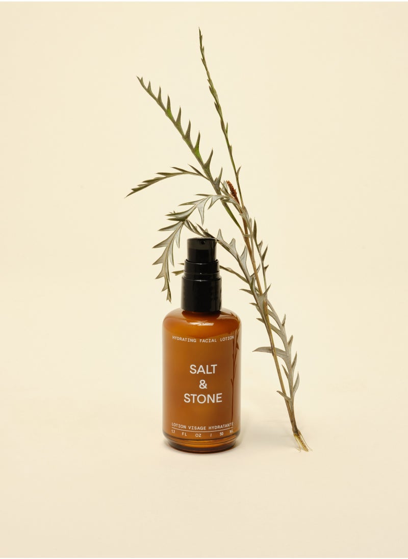 Salt & Stone - Antioxidant Facial Hydrating Lotion - Image 1
