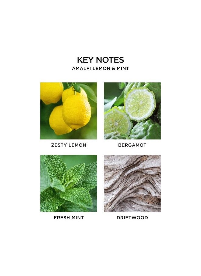NEST FRAGRANCES - Amalfi Lemon & Mint Liquid Hand Soap 10 Ounce - Image 1