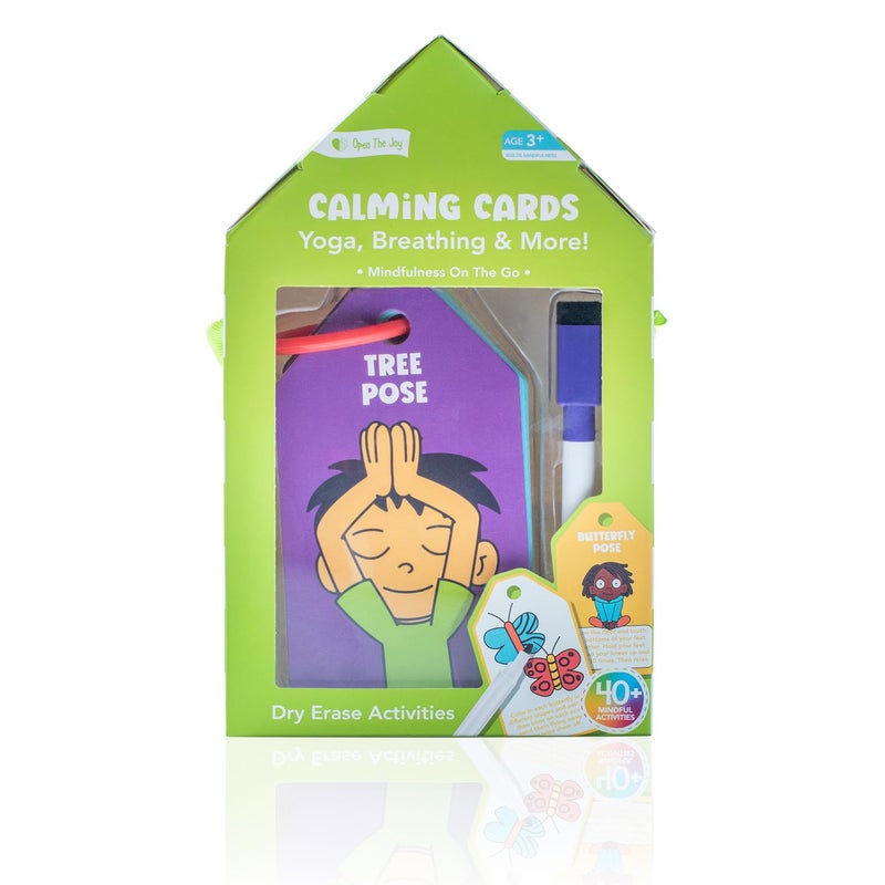 Open The Joy Dry Erase Flash Cards for Kids Calming Cards Emotions Learning Set with Educational Activities Reusable and Durable Cards for Early Childhood Development - Image 3