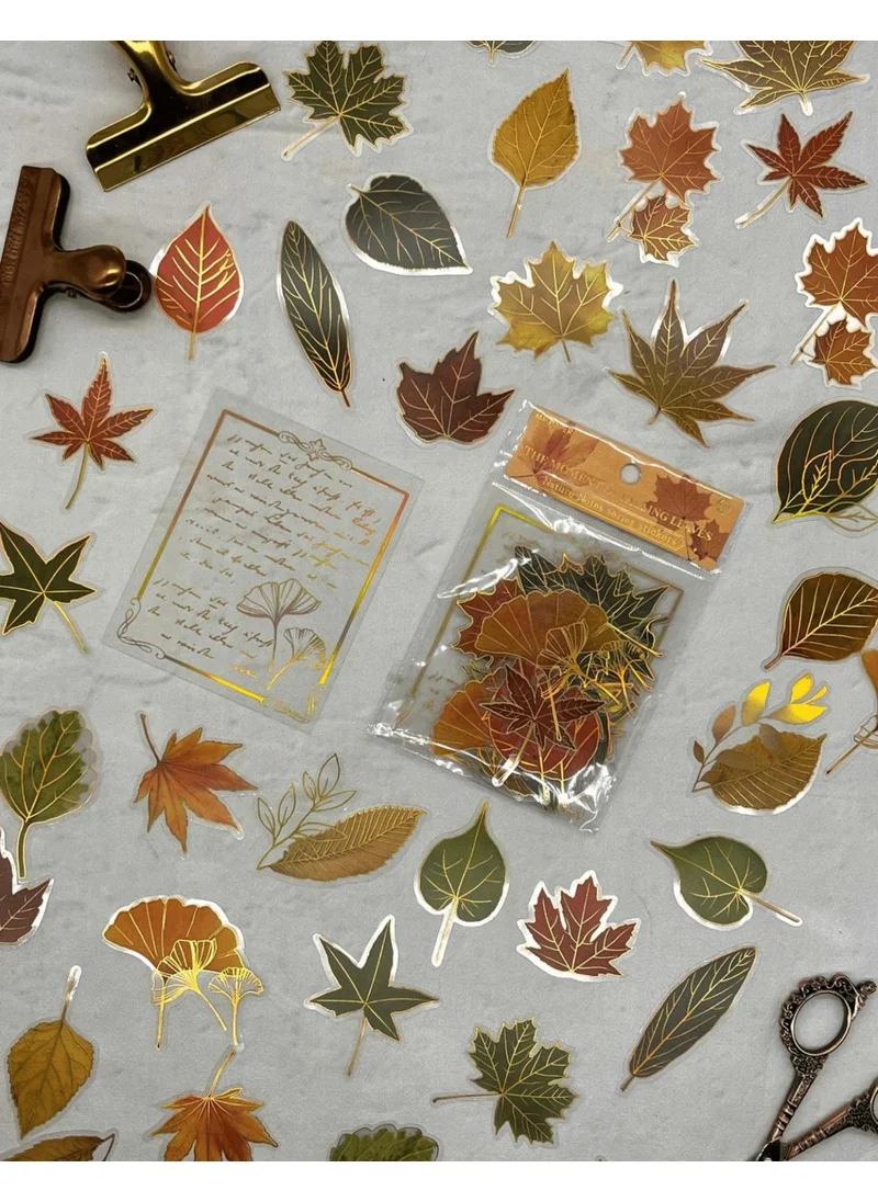 Kağıt Gemi Dükkan Nature Notes Series The Moment Of Falling Leaves 40 Pieces Gold Gilded Transparent Pet Sticker