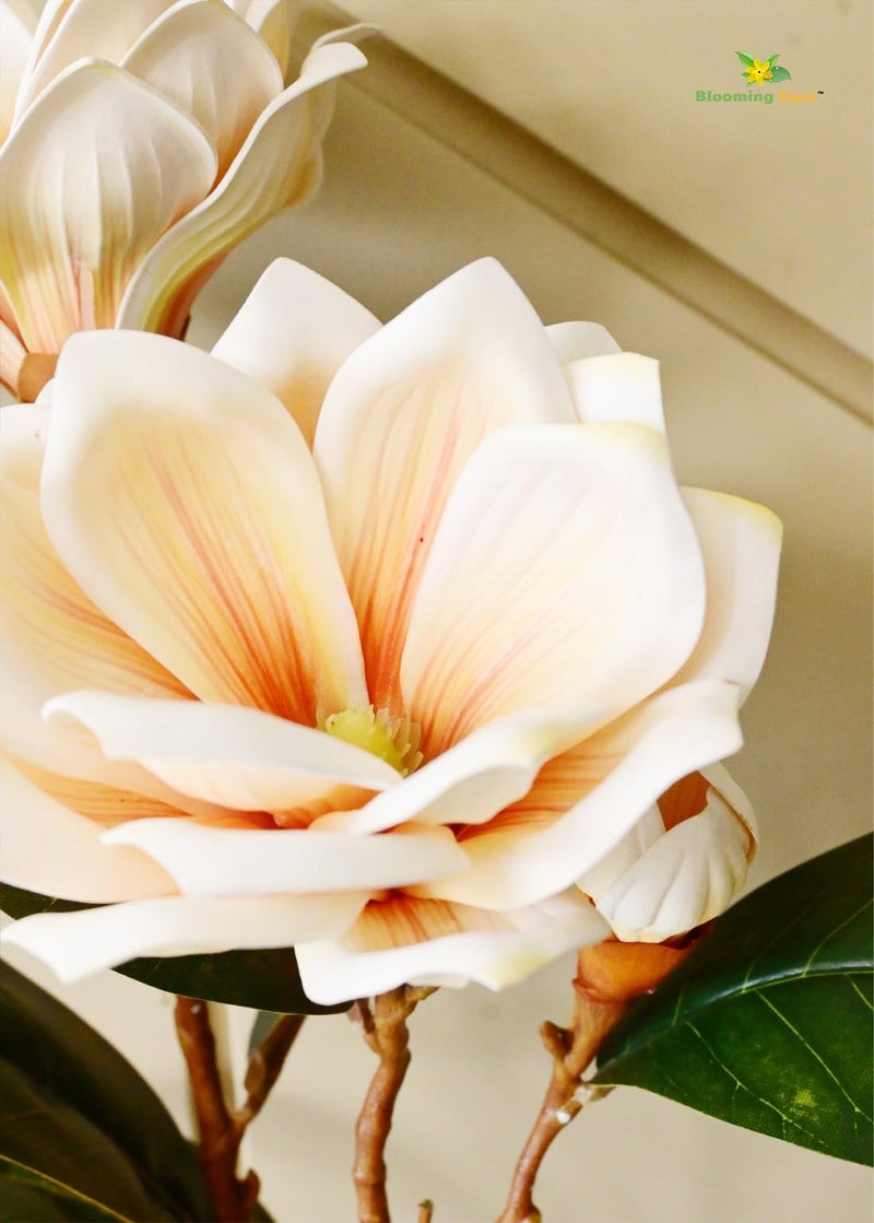 Blooming Floret Realistic Artificial Magnolia Flower Stems – Decorative Faux Flowers with Lifelike Petals and Green Leaves for Home Decor, Wedding Arrangements, and Centerpieces (Cream) - Image 4