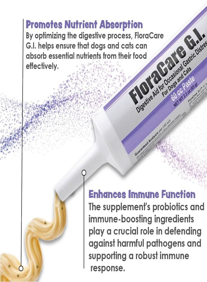 Pet Health Solutions FloraCare G.I. for Dogs & Cats - Dietary Supplement Paste - Healthy Intestinal Tract, Digestion, Bowel Health - Vitamin, Protein, Fat, Fiber - 60 CC,RAPIDCARE60CC - Image 2