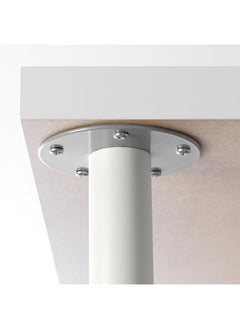 إيروريكس الساق، بيضاء  - Image 4