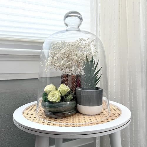 Plymor 8.5" x 11" Bell Jar Glass Display Dome Cloche (Interior Size 8.25" x 9.5") - Image 3