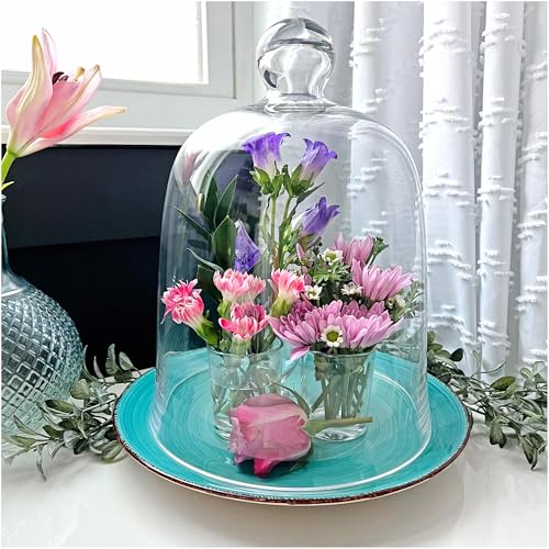 Plymor 8.5" x 11" Bell Jar Glass Display Dome Cloche (Interior Size 8.25" x 9.5") - Image 4