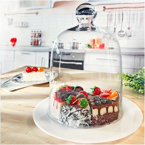 Plymor 8.5" x 11" Bell Jar Glass Display Dome Cloche (Interior Size 8.25" x 9.5") - Image 5