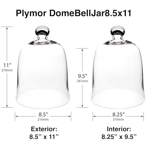 Plymor 8.5" x 11" Bell Jar Glass Display Dome Cloche (Interior Size 8.25" x 9.5") - Image 2