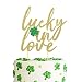 Moitkptt Lucky in Love Cake Topper for St Patricks Day Party Decorations Engagement Cake Decorations Wedding Anniversary Bridal Shower Party Decorations - Image 2
