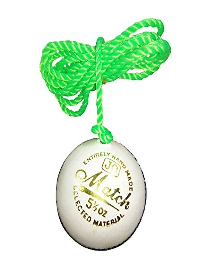AQTIV8x White Leather Hanging Cricket Ball for Knocking & Practices - Image 3