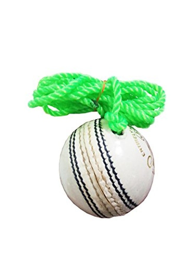 AQTIV8x White Leather Hanging Cricket Ball for Knocking & Practices - Image 4