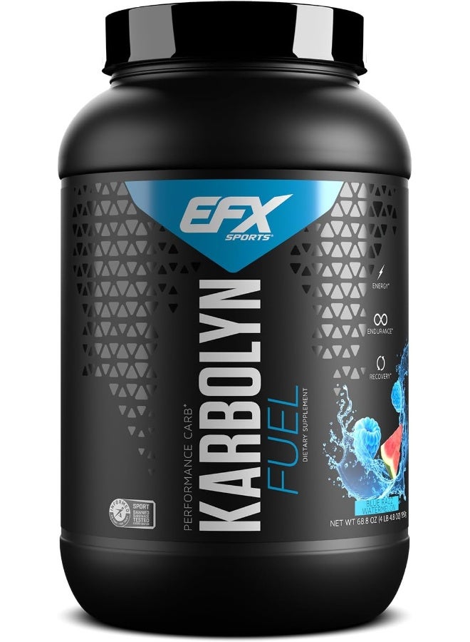 EFX SPORTS كاربولين فيول بنكهة التوت الأزرق والبطيخ 4.3 رطل 1950 جرام - Image 1