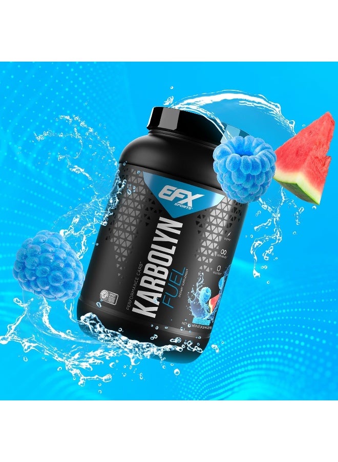 EFX SPORTS كاربولين فيول بنكهة التوت الأزرق والبطيخ 4.3 رطل 1950 جرام - Image 2