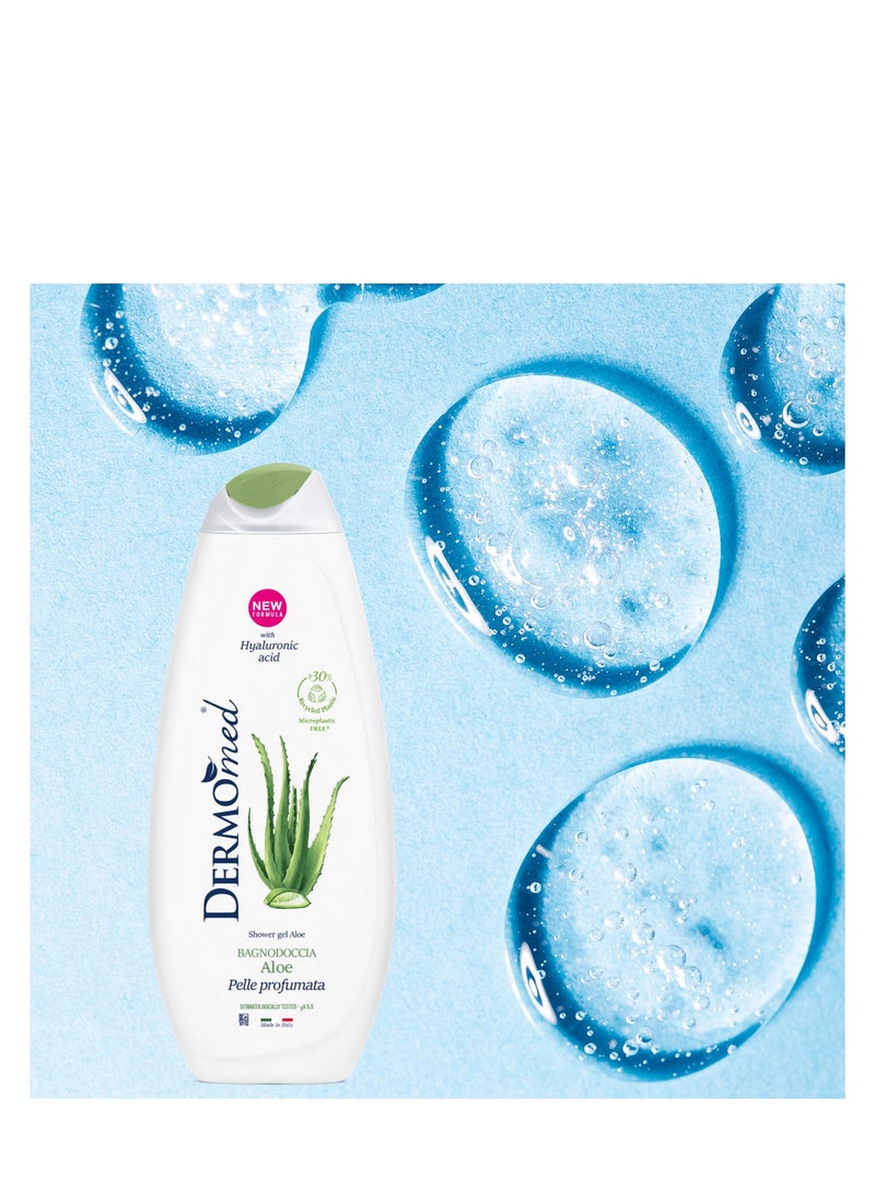 Dermomed - Shower Gel Aloe 650 ML - Image 1
