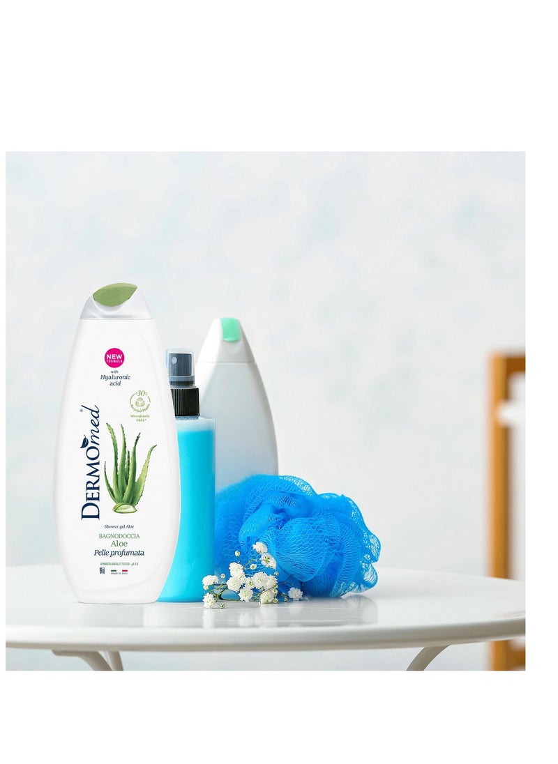 Dermomed - Shower Gel Aloe 650 ML - Image 1