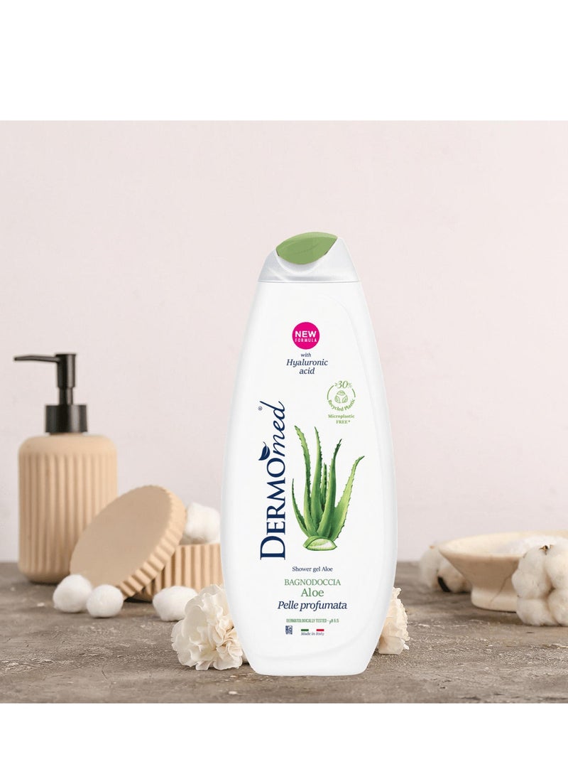 Dermomed - Shower Gel Aloe 650 ML - Image 1