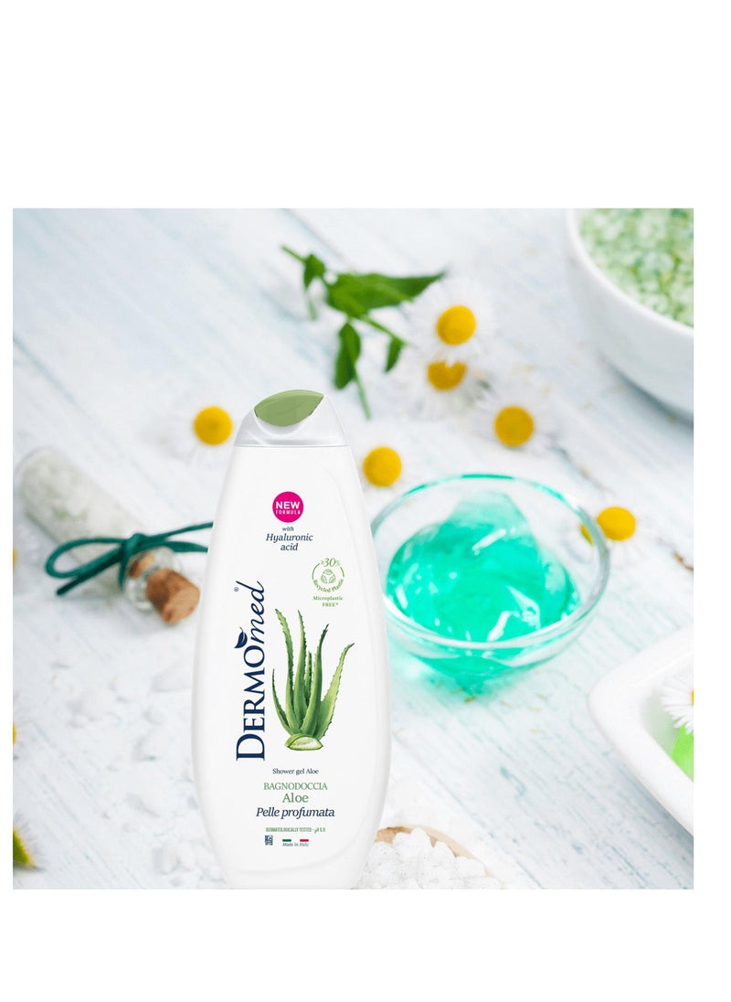 Dermomed - Shower Gel Aloe 650 ML - Image 1