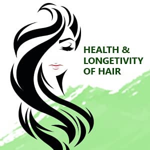 Sunny Herbals Arnica Montana Hair Oil | Improves Blood Circulation of Scalp, Checks Dandruff & Strengthens Hair Roots | Promotes Hair Growth | Unisex | All Hair Types | 200ml (Pack of 2) - Image 5