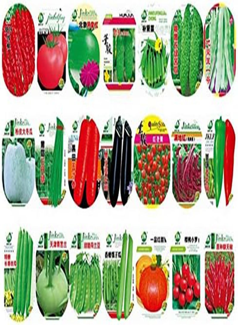 GGOOT Seeds Package: Red Cowpea Bean 5G: Garden China Vegetable Seeds Non-Gmo Balcony Colorful Re Package Original And Sowing Vegetable Seeds - Image 2
