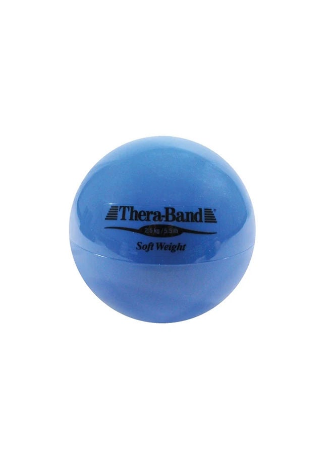 TheraBand Soft Weight Toning Ball – 2.5kg (5.5lbs) – Blue – Non-Slip Weighted Ball for Pilates, Yoga, Strength Training & Physical Therapy - Image 1