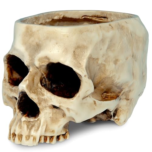 READAEER Skull Bowl Resin Skull Shaped Planter Flower Pot Candy Bowl for Home Office Indoor Desk Decorations  White