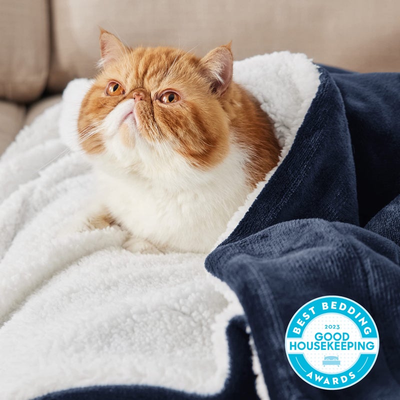 Bedsure GentleSoft Sherpa Fleece Twin Size Blanket for Couch, Non-Heated, Thick and Warm Throw for Women and Men, Soft Fuzzy Plush Heavy Twin Blanket for Winter, Navy, 60x80 Inches - Image 2