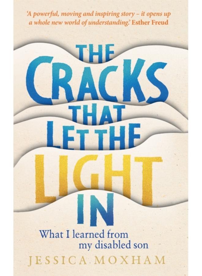 The Cracks that Let the Light In : What I learned from my disabled son 