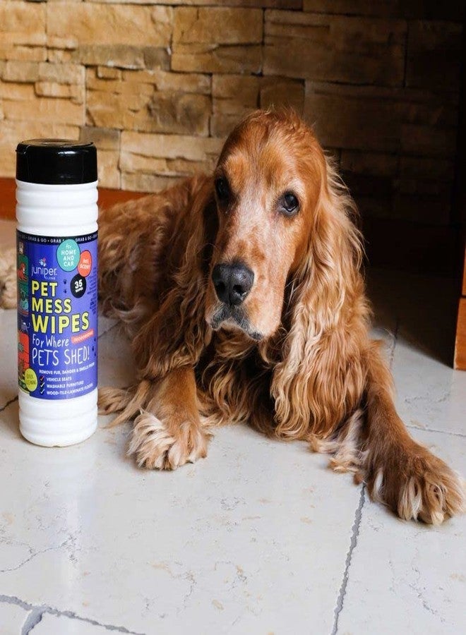 Juniper CLEAN, Pet Mess Wipes for Pets Cleansing, Wipes for Dogs and Puppies–Remove Fur, Dander, Smells from Vehicle Seats, Washable Furniture, Wood, Tile, and Laminate Floors, 50 Count (Pack of 1) - Image 4
