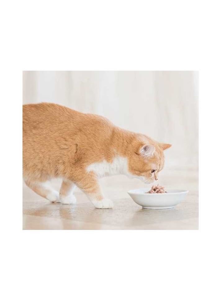 Schesir Cat Pouch-Wet Food Tuna With Seabass 50g 1pc  - Image 3
