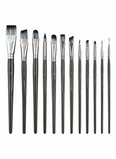 Artist Paint Brush Set of 12 for Watercolor Acrylic Gouache Oil and Tempera Painting Fine Arts Painting Brush Painting Tools with Black Nylon Wool