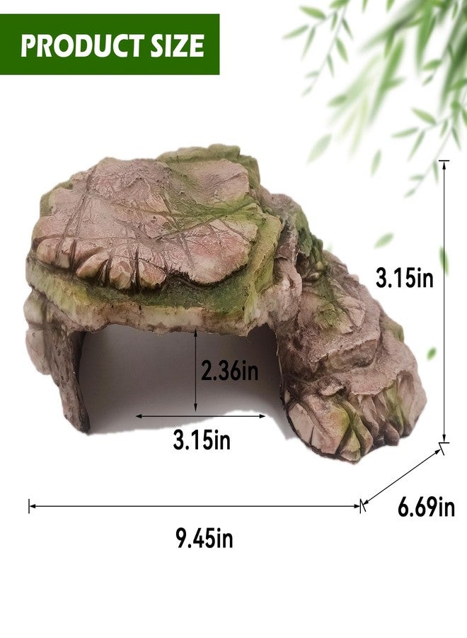kathson Turtle Basking Platform Resin Bearded Dragon Hides and Caves with Ramp Reptile Resting Terrace Turtle Tank Decorations for Frogs,Tortoise,Lizard,Leopard,Crested Gecko - Image 5