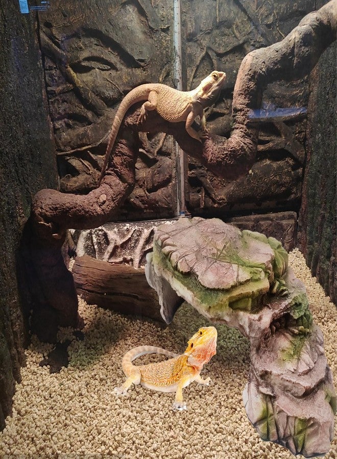 kathson Turtle Basking Platform Resin Bearded Dragon Hides and Caves with Ramp Reptile Resting Terrace Turtle Tank Decorations for Frogs,Tortoise,Lizard,Leopard,Crested Gecko - Image 2