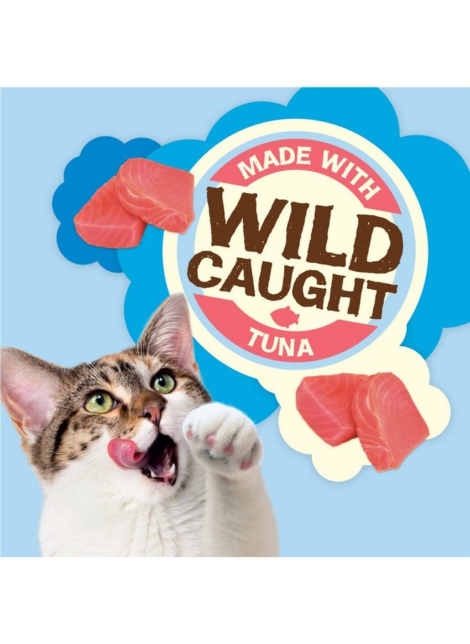 PURINA - Purina Friskies Natural Cat Treats, Party Mix Natural Yums With Wild Caught Tuna and added vitamins, minerals and nutrients - 20 oz. Canister - Image 1