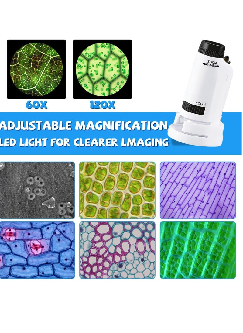Generic - Mini Microscope for Kids, Portable Handheld Microscope for Kids, Supports Multiple Switching Magnifications, with 12pcs Microscope Slides, for Learning, Education and Exploring - Image 1