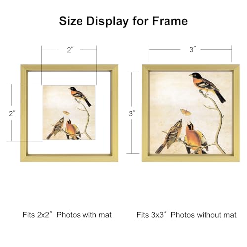 BKABOT 3x3 Picture Frame Set of 3, Brass Metal Square Photo Frames with HD Glass, Fits 2x2 with Mat or 3 x 3 without Mat, Display for Wall and Table - Image 2