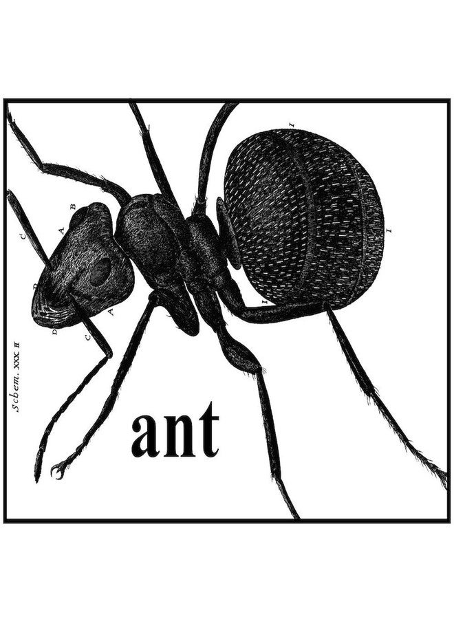 cafe press CafePress Ant Mug 11 oz (325 ml) Ceramic Coffee Mug - Image 3