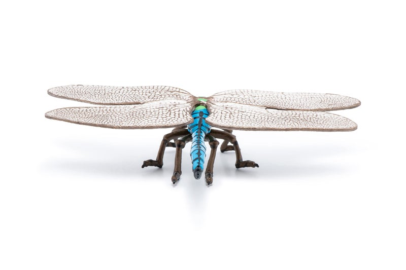 Papo -hand-painted - figurine -Wild animal kingdom - Dragonfly -50261 -Collectible - For Children - Suitable for Boys and Girls- From 3 years old - Image 4