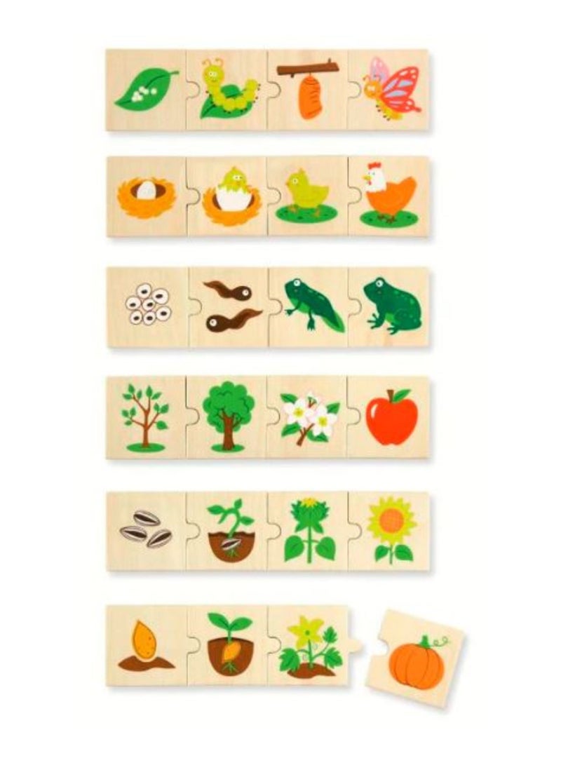 Viga Wooden Growing Puzzle - Life Cycle Learning Set - Image 2