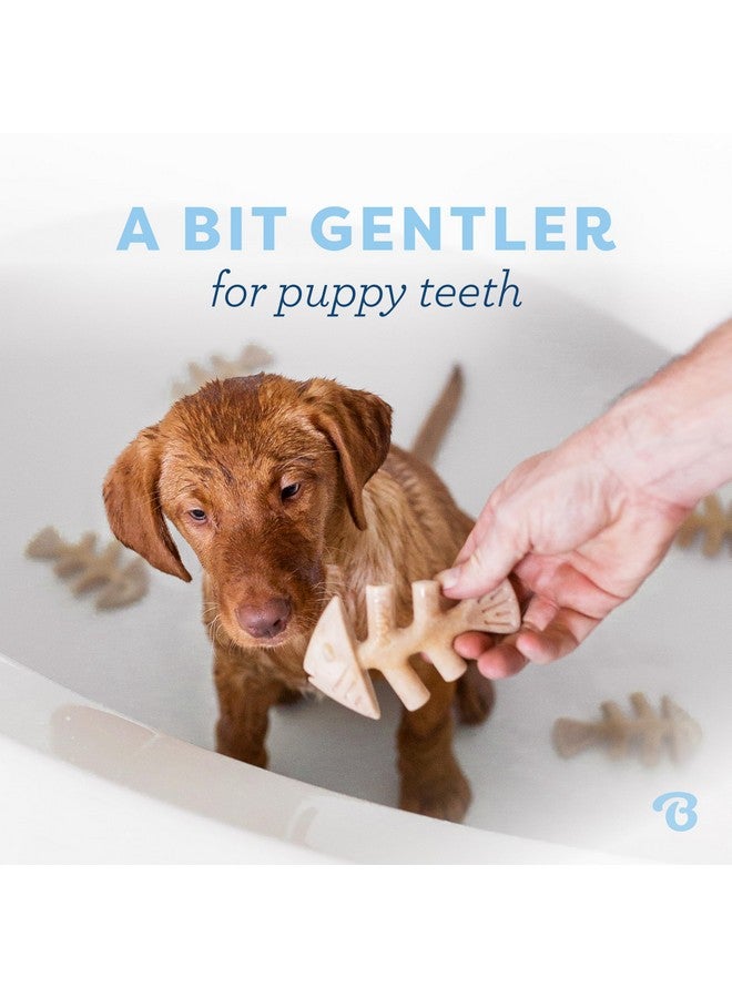 Benebone Puppy Fishbone Dog Chew Toys, Softer for Modest Chewers, Made in USA - Image 1