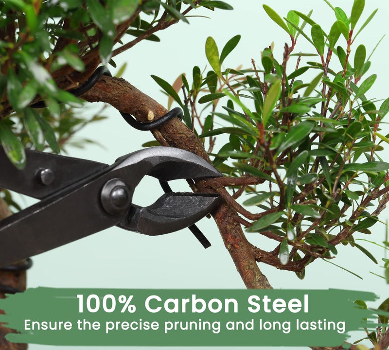 SOLIGT Bonsai Tools Set with Wood Box 12PCS Heavy Duty Bonsai Tree Kit, Trimming Scissor Shears, Concave Cutter, Wire Rolls, Wire Cutter and More, Gardening Pruning & Care Kit - Image 3