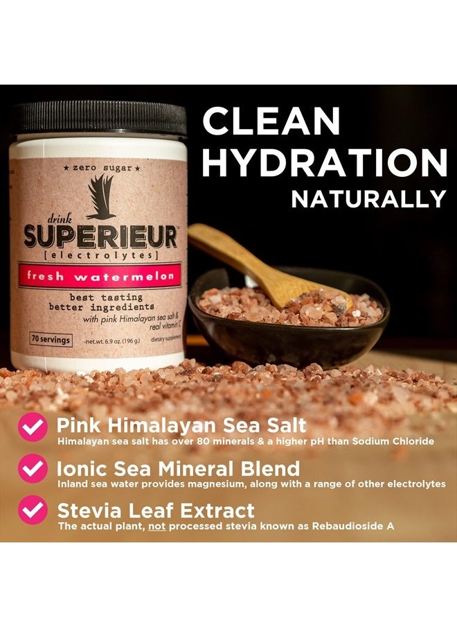 Superieur - Electrolytes – Plant Based Electrolyte Supplement w/Sea Minerals for Hydration & Recovery – Keto Friendly, Non-GMO, Zero Sugar, Vegan Healthy Sports Drink Powder – Watermelon (70 Servings) - Image 1