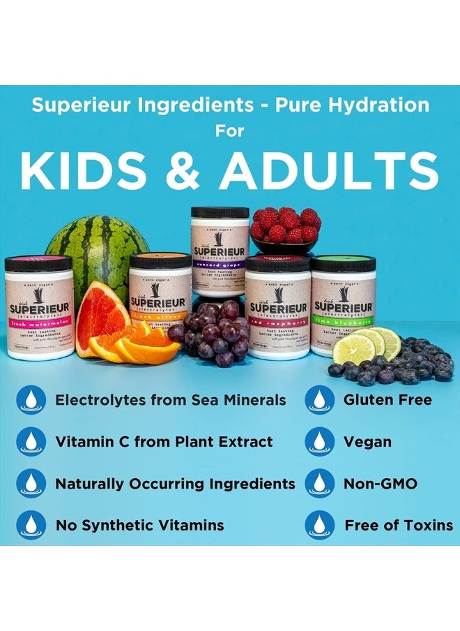 Superieur - Electrolytes – Plant Based Electrolyte Supplement w/Sea Minerals for Hydration & Recovery – Keto Friendly, Non-GMO, Zero Sugar, Vegan Healthy Sports Drink Powder – Watermelon (70 Servings) - Image 1
