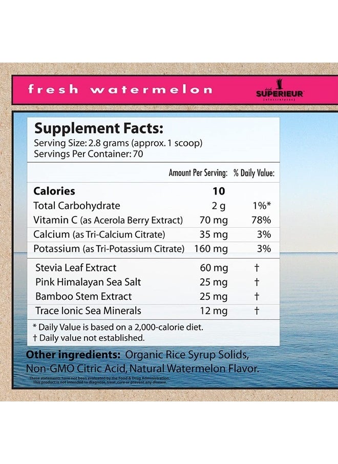 Superieur - Electrolytes – Plant Based Electrolyte Supplement w/Sea Minerals for Hydration & Recovery – Keto Friendly, Non-GMO, Zero Sugar, Vegan Healthy Sports Drink Powder – Watermelon (70 Servings) - Image 1