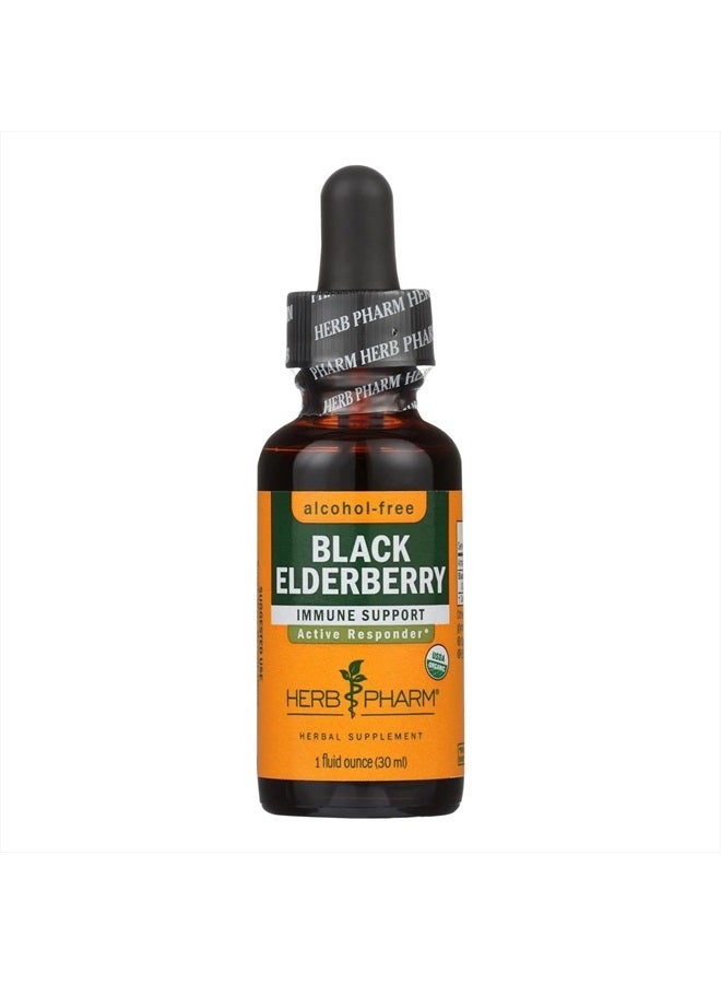 HERB PHARM Organic Black Elderberry Glycerite, 1 FZ/30 ml