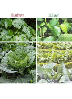 KASTWAVE Insect Protection Net, Breathable Garden Vegetable Plant Protect Netting Portable Plant Protection Netting Grow Tunnel Fine Mesh Greenhouse Plant Barrier for Plants Vegetable Fruit (2.5M*6M)  - Image 4