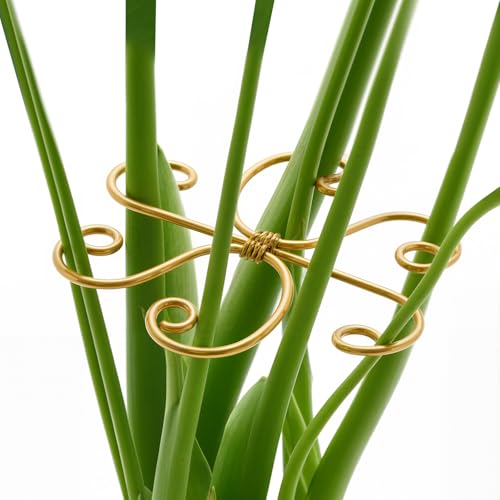 Yeomant 4PCS Iron Monstera Support, Uniquely Designed Plant Support Stakes for Indoor Plants, Stable Plant Stakes and Supports, Turtle Shell Bamboo Clamp Set for Thriving Growth - Image 1