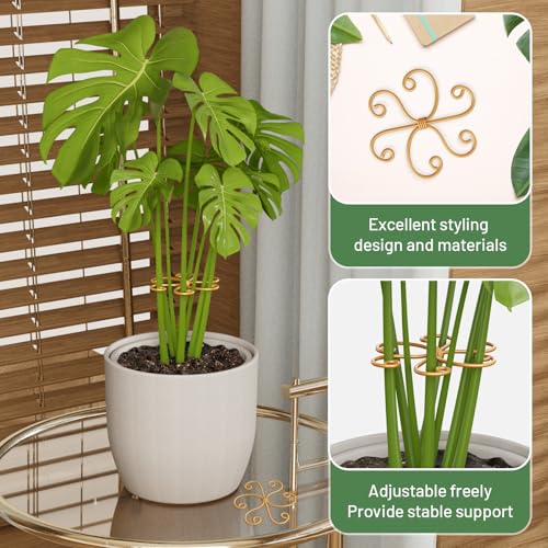 Yeomant 4PCS Iron Monstera Support, Uniquely Designed Plant Support Stakes for Indoor Plants, Stable Plant Stakes and Supports, Turtle Shell Bamboo Clamp Set for Thriving Growth - Image 4