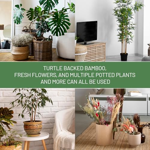 Yeomant 4PCS Iron Monstera Support, Uniquely Designed Plant Support Stakes for Indoor Plants, Stable Plant Stakes and Supports, Turtle Shell Bamboo Clamp Set for Thriving Growth - Image 5