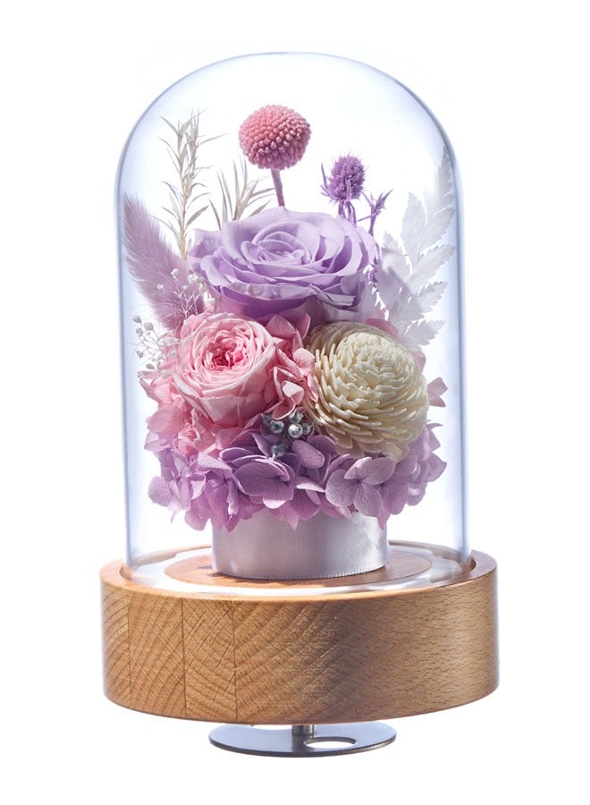 Generic Eternal Rose Flower in Glass Dome gift box With Music Romantic Gift for Her Preserved Long Lasting Stable Color Natural Material Symbol of Everlasting Love for Wife Mothers on Birthday,  Anniversary,etc 