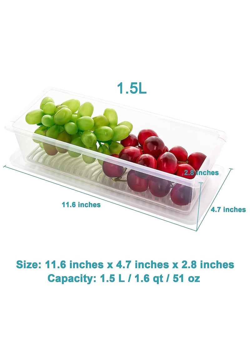 Volcano - VOLCANO Fridge Storage Containers, Fridge Organizer with Removable Drain Plate & Secure-Sealing Lids, Fridge Storage Boxes Keep Fruits, Vegetables Fresher, Container Box (Freezer Containers_P6) - Image 1